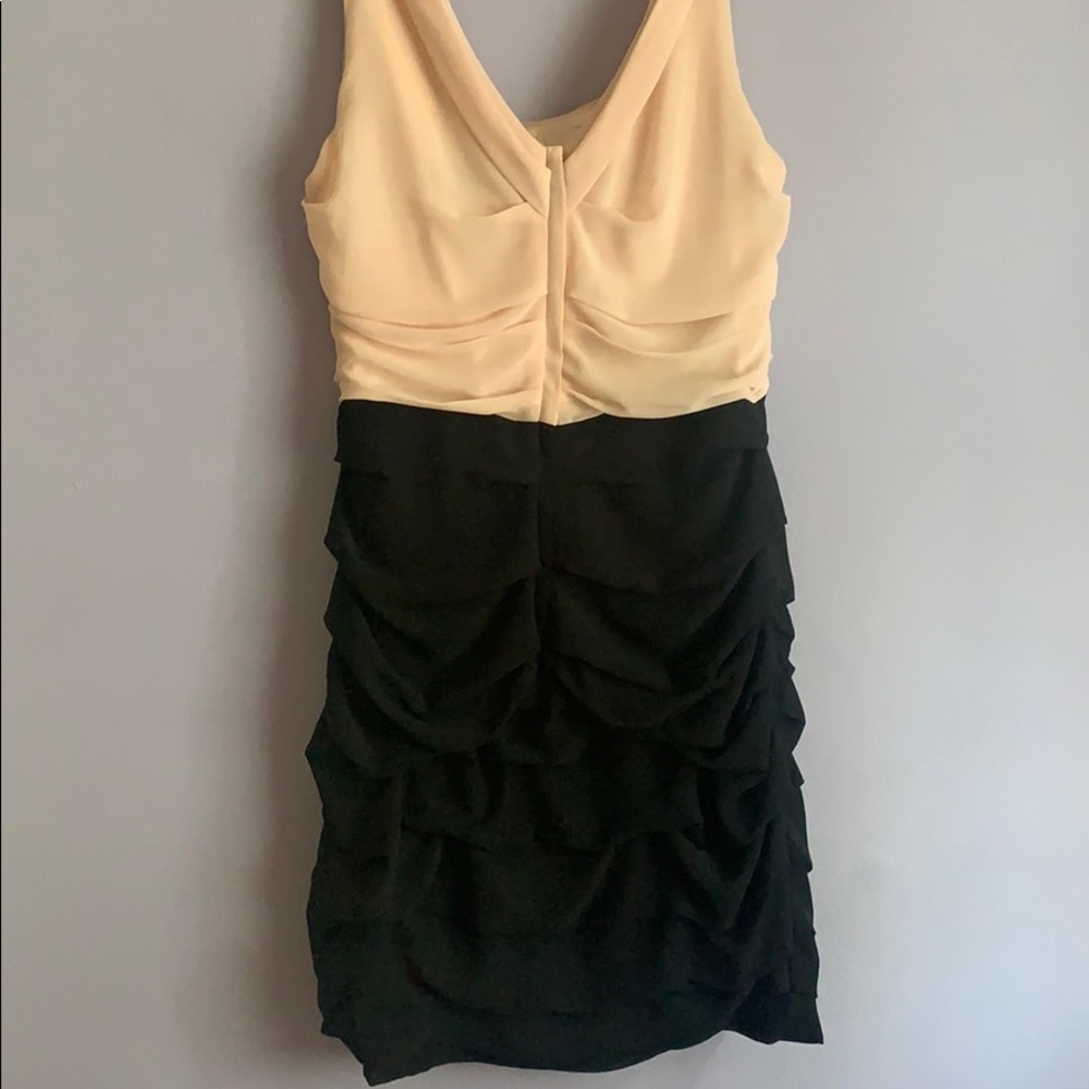 Express Dress - Picture 4 of 4